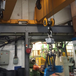 Overhead Crane training